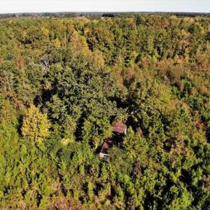 Photo of UNDER CONTRACT!!  46.79 Acres of Hunting Land for Sale in Brunswick County VA!