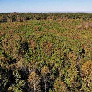Photo of UNDER CONTRACT!!  46.79 Acres of Hunting Land for Sale in Brunswick County VA!