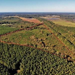 Photo of UNDER CONTRACT!!  46.79 Acres of Hunting Land for Sale in Brunswick County VA!