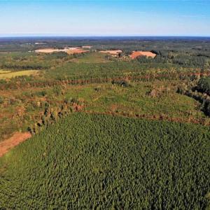 Photo of UNDER CONTRACT!!  46.79 Acres of Hunting Land for Sale in Brunswick County VA!