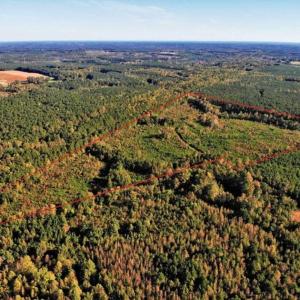 Photo of UNDER CONTRACT!!  46.79 Acres of Hunting Land for Sale in Brunswick County VA!