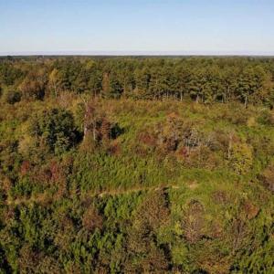 Photo of UNDER CONTRACT!!  46.79 Acres of Hunting Land for Sale in Brunswick County VA!