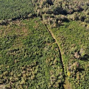 Photo of UNDER CONTRACT!!  46.79 Acres of Hunting Land for Sale in Brunswick County VA!