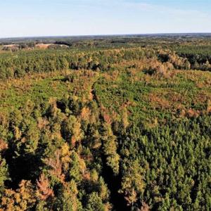 Photo of UNDER CONTRACT!!  46.79 Acres of Hunting Land for Sale in Brunswick County VA!
