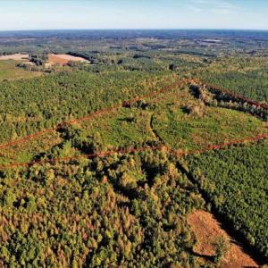 Photo of UNDER CONTRACT!!  46.79 Acres of Hunting Land for Sale in Brunswick County VA!