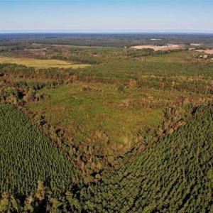 Photo of UNDER CONTRACT!!  46.79 Acres of Hunting Land for Sale in Brunswick County VA!