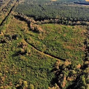 Photo of UNDER CONTRACT!!  46.79 Acres of Hunting Land for Sale in Brunswick County VA!