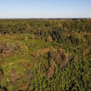 Photo of UNDER CONTRACT!!  46.79 Acres of Hunting Land for Sale in Brunswick County VA!