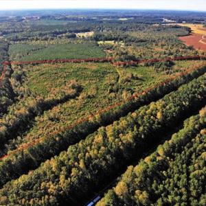 Photo of UNDER CONTRACT!!  46.79 Acres of Hunting Land for Sale in Brunswick County VA!