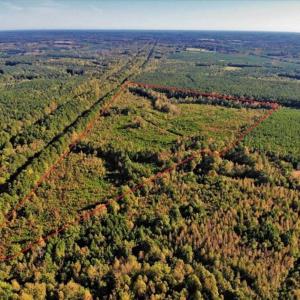 Photo of UNDER CONTRACT!!  46.79 Acres of Hunting Land for Sale in Brunswick County VA!