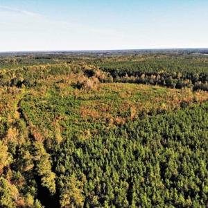 Photo of UNDER CONTRACT!!  46.79 Acres of Hunting Land for Sale in Brunswick County VA!