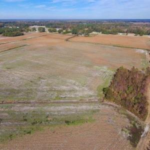 Photo of 73.35 Acres of Farm and Timber Land For Sale in Craven County NC!