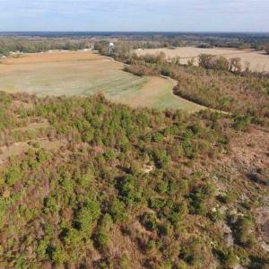 Photo of 73.35 Acres of Farm and Timber Land For Sale in Craven County NC!