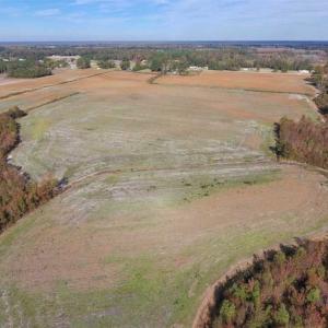 Photo of 73.35 Acres of Farm and Timber Land For Sale in Craven County NC!