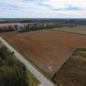 Photo of 73.35 Acres of Farm and Timber Land For Sale in Craven County NC!