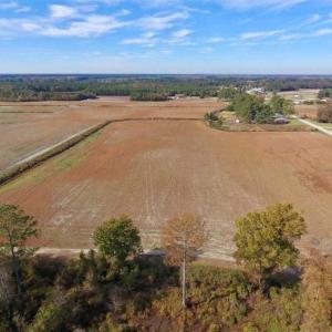 Photo of 73.35 Acres of Farm and Timber Land For Sale in Craven County NC!