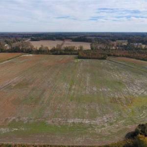 Photo of 73.35 Acres of Farm and Timber Land For Sale in Craven County NC!
