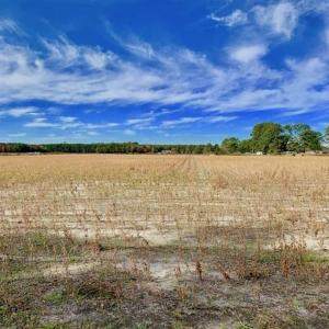 Photo of 73.35 Acres of Farm and Timber Land For Sale in Craven County NC!
