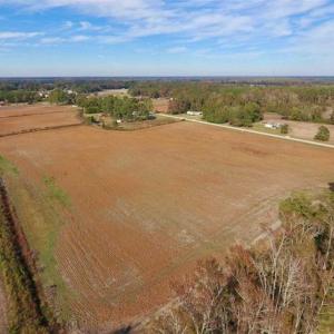Photo of 73.35 Acres of Farm and Timber Land For Sale in Craven County NC!
