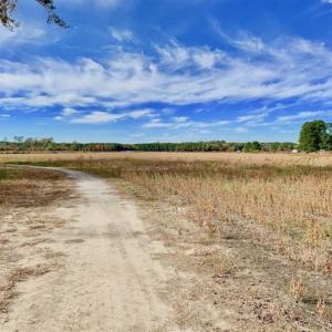 Photo of 73.35 Acres of Farm and Timber Land For Sale in Craven County NC!