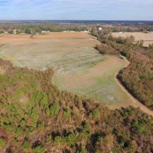 Photo of 73.35 Acres of Farm and Timber Land For Sale in Craven County NC!