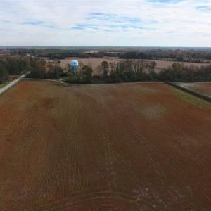 Photo of 73.35 Acres of Farm and Timber Land For Sale in Craven County NC!