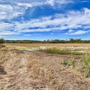 Photo of 73.35 Acres of Farm and Timber Land For Sale in Craven County NC!
