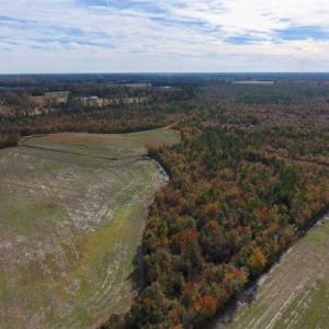 Photo of 73.35 Acres of Farm and Timber Land For Sale in Craven County NC!