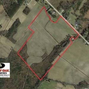 Photo of 73.35 Acres of Farm and Timber Land For Sale in Craven County NC!