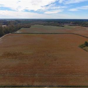 Photo of 73.35 Acres of Farm and Timber Land For Sale in Craven County NC!