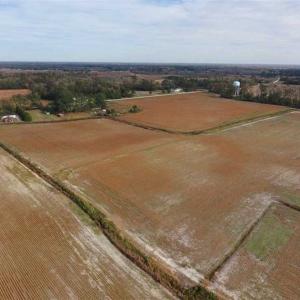 Photo of 73.35 Acres of Farm and Timber Land For Sale in Craven County NC!