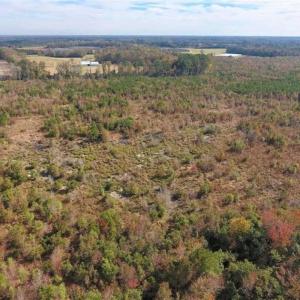Photo of 73.35 Acres of Farm and Timber Land For Sale in Craven County NC!