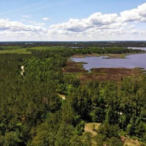 Photo of 5.6 Acres of Waterfront Hunting Fishing and Residential Land for Sale in Pamlico County NC!