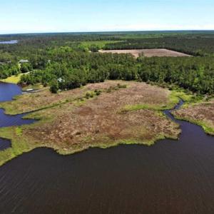Photo of 5.6 Acres of Waterfront Hunting Fishing and Residential Land for Sale in Pamlico County NC!