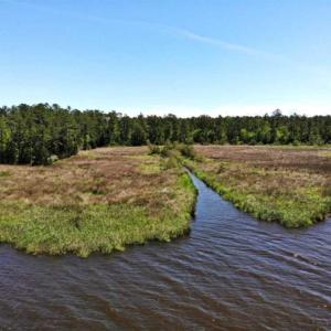 Photo of 5.6 Acres of Waterfront Hunting Fishing and Residential Land for Sale in Pamlico County NC!