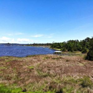 Photo of 5.6 Acres of Waterfront Hunting Fishing and Residential Land for Sale in Pamlico County NC!