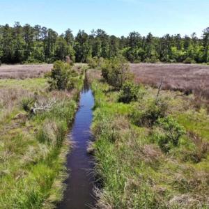 Photo of 5.6 Acres of Waterfront Hunting Fishing and Residential Land for Sale in Pamlico County NC!
