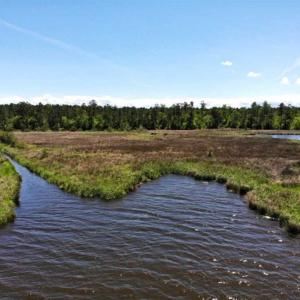 Photo of 5.6 Acres of Waterfront Hunting Fishing and Residential Land for Sale in Pamlico County NC!
