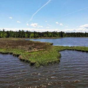Photo of 5.6 Acres of Waterfront Hunting Fishing and Residential Land for Sale in Pamlico County NC!
