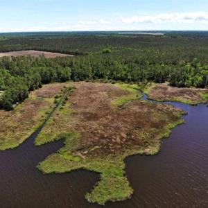 Photo of 5.6 Acres of Waterfront Hunting Fishing and Residential Land for Sale in Pamlico County NC!