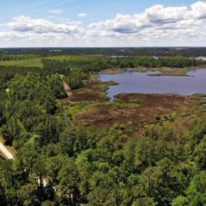 Photo of 5.6 Acres of Waterfront Hunting Fishing and Residential Land for Sale in Pamlico County NC!