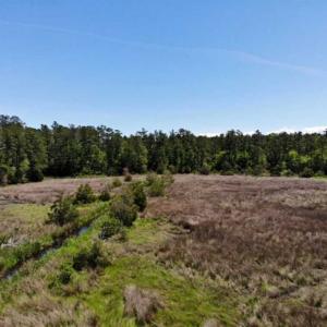 Photo of 5.6 Acres of Waterfront Hunting Fishing and Residential Land for Sale in Pamlico County NC!