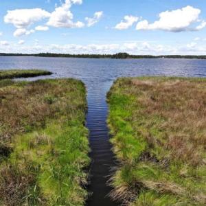 Photo of 5.6 Acres of Waterfront Hunting Fishing and Residential Land for Sale in Pamlico County NC!