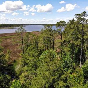 Photo of 5.6 Acres of Waterfront Hunting Fishing and Residential Land for Sale in Pamlico County NC!