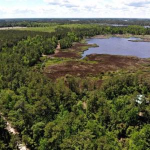 Photo of 5.6 Acres of Waterfront Hunting Fishing and Residential Land for Sale in Pamlico County NC!