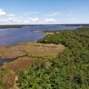 Photo of 5.6 Acres of Waterfront Hunting Fishing and Residential Land for Sale in Pamlico County NC!