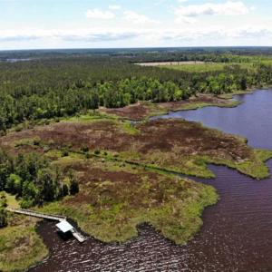Photo of 5.6 Acres of Waterfront Hunting Fishing and Residential Land for Sale in Pamlico County NC!