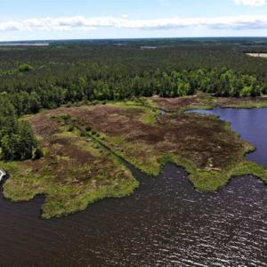 Photo of 5.6 Acres of Waterfront Hunting Fishing and Residential Land for Sale in Pamlico County NC!