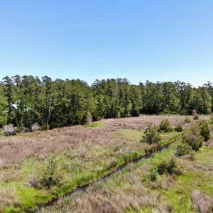 Photo of 5.6 Acres of Waterfront Hunting Fishing and Residential Land for Sale in Pamlico County NC!
