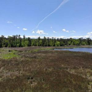 Photo of 5.6 Acres of Waterfront Hunting Fishing and Residential Land for Sale in Pamlico County NC!